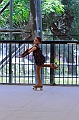 Alessia (15)_